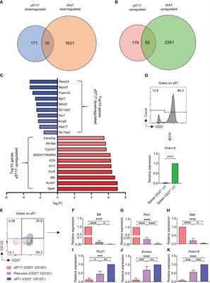 PRDM16 regulates γδT17 cell differentiation via controlling type 17 program and lipid-dependent cell fitness